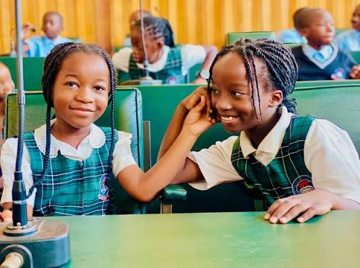 Top 10 Best Private Schools in Zambia 2026 - 2027